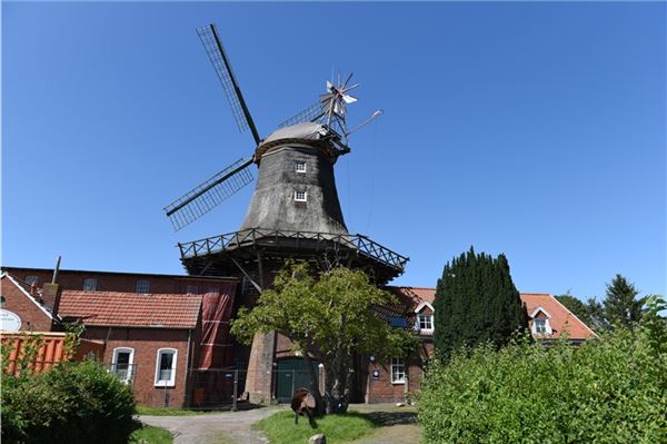 Die Pewsumer Mühle ist eines der markantesten Wahrzeichen der Krummhörn. Foto: Daja Ecke