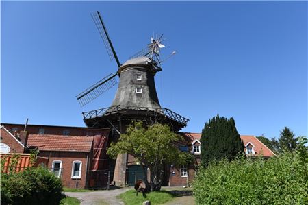 Die Pewsumer Mühle ist eines der markantesten Wahrzeichen der Krummhörn. Foto: Daja Ecke